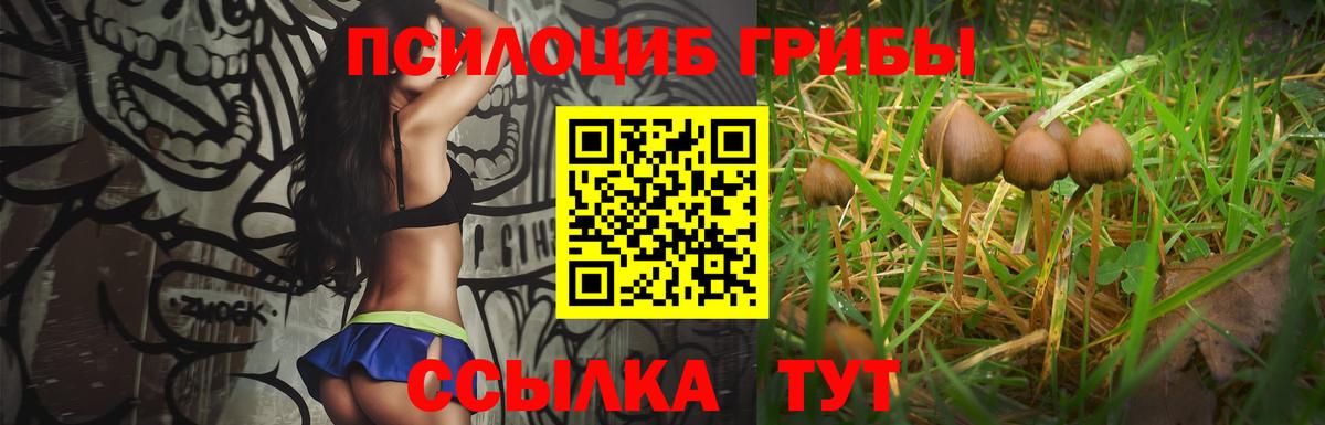 Галлюциногенные грибы мухоморы  Вход с VPN  Галлюциногенные грибы Psilocybine cubensis  Ачинск 